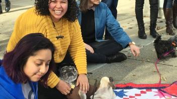 Stress Dogs 2018