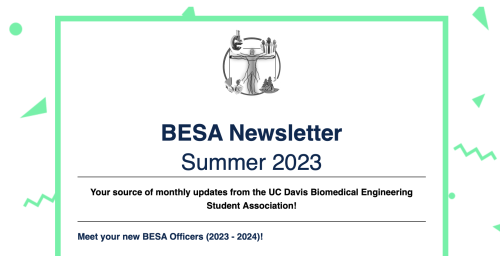 Summer 2023