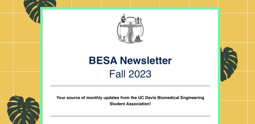 Fall 2023